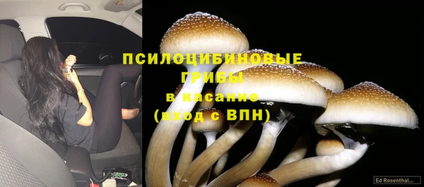 бутират Павлово