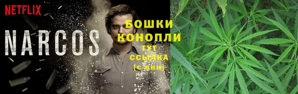 круглые Магас