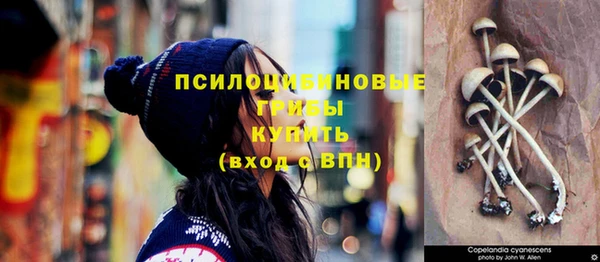круглые Магас