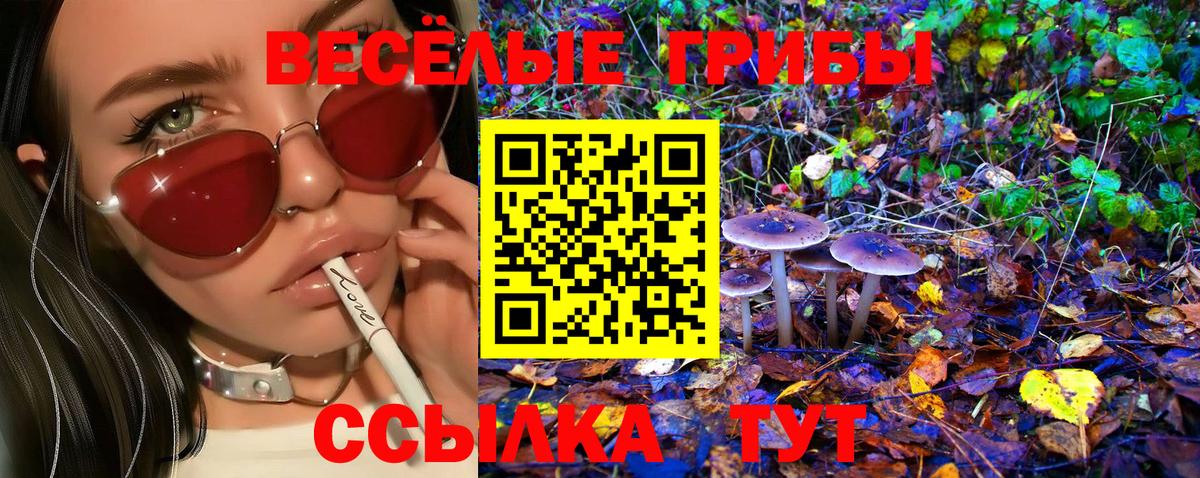 Галлюциногенные грибы ЛСД Бийск