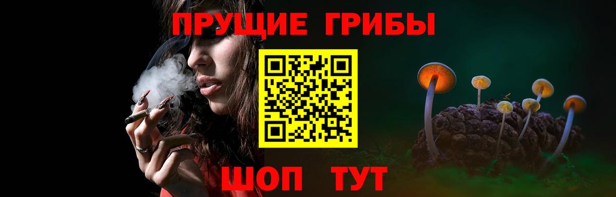 где купить наркоту  Галлюциногенные грибы мицелий  Псилоцибиновые грибы GOLDEN TEACHER  Вход с VPN  Бийск 