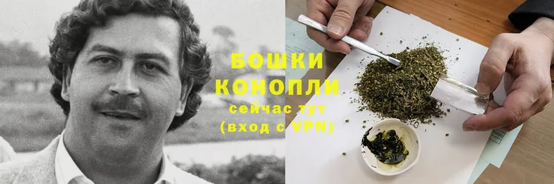 Шишки марихуана Bruce Banner  купить наркотики сайты  blacksprut рабочий сайт  Бийск 