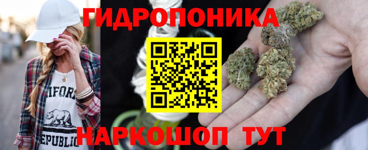 A PVP Бийск